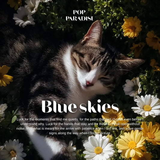 Blue skies | Pop Acoustic Guitar